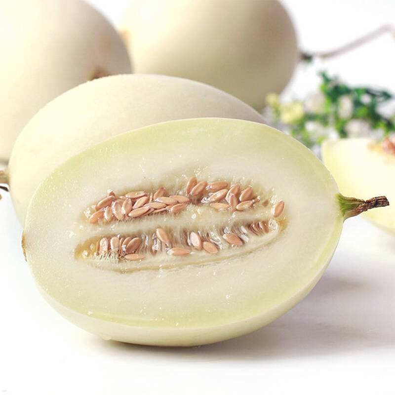 鲁加蜜甜瓜哈密瓜水果甜白玉小瓜新鲜小香甜瓜胜新疆哈密瓜5斤
