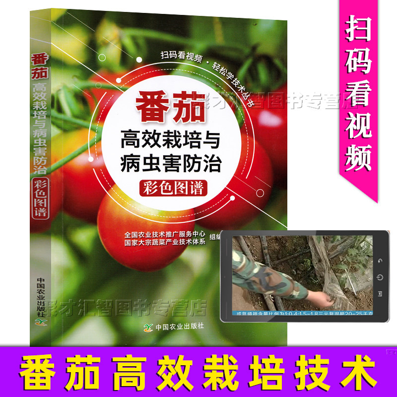 番茄高效栽培与病虫害防治 彩色图谱 可扫码看视频 正版西红柿圣女果