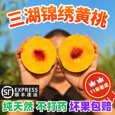湖北荆州三湖锦绣黄桃10斤鲜现摘
