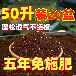 50升轻质通用型疏松透气泥炭营养土种菜土养花土壤多肉种植有机土