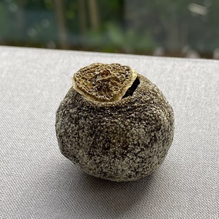 2020正韵小青柑250g特级 有余意TEA