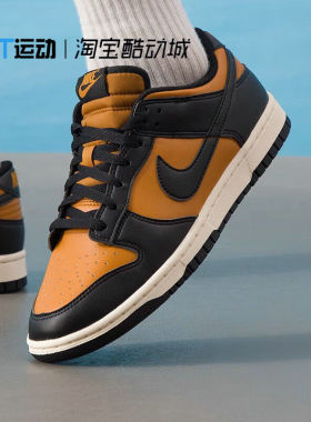 Nike/耐克正品DUNK LOW RETRO男秋冬复古潮流休闲板鞋 HF5441-701