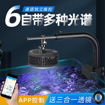 a7海水珊瑚led灯全光谱100w图片