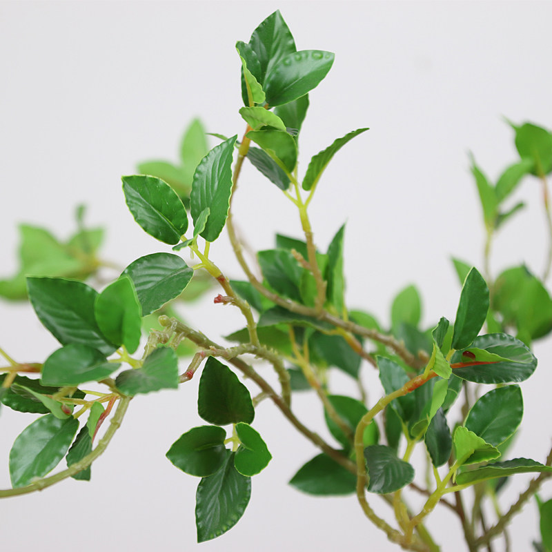 猫先生 绿色植物假花单支仿真绿植榆树叶家居装饰小清新花艺绿叶