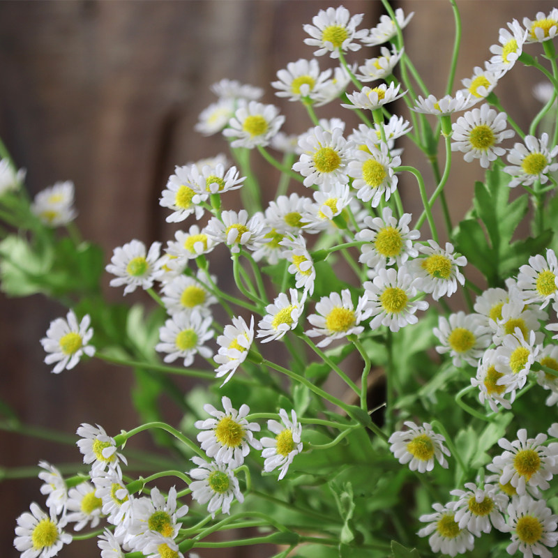 猫先生 仿真花小雏菊绢花小清新野趣小碎花客厅餐桌装饰花白假花