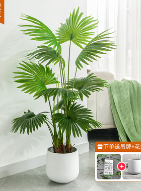 摆件绿植高端轻奢仿真