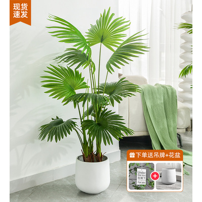 摆件绿植高端轻奢仿真