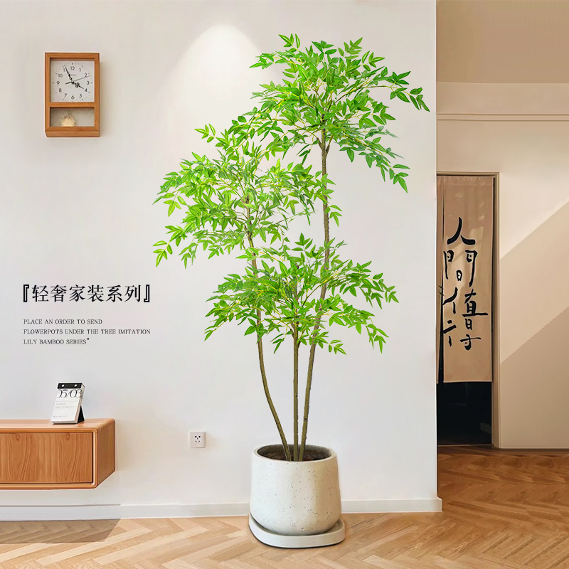 这款真的香！服装店推荐绿植绿植