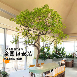 仿真马醉木橱窗造景植物室内高端仿生绿植装饰树大型假树简约景观