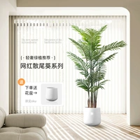 Sanjiefishi Simulation Зеленые растения Nordic ins Wind -Pseudo Pseudo -Plant Plant