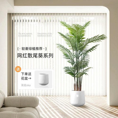 Sanjiefishi Simulation Зеленые растения Nordic ins Wind -Pseudo Pseudo -Plant Plant