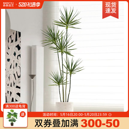 轻奢仿真绿植龙血树大型室内假植C物盆栽客厅仿真花装饰落地摆件