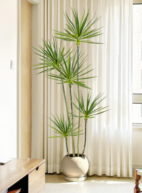 仿真绿植电视柜高端落地装饰摆件