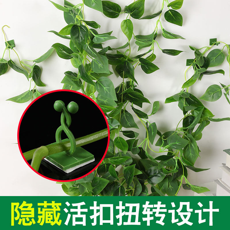 绿萝爬墙神器自粘式固定器家用无痕卡扣绿枝爬藤杆夹子攀爬定型夹