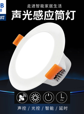 声光控感应筒灯led射灯天花灯人体感应走廊嵌入式78公分开孔桶灯