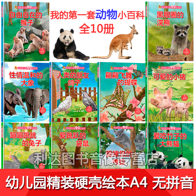 硬壳绘本大开无拼音 我的第一套动物小百科  认识动物绘本 幼儿园 可爱的动物世界 关于动物的绘本科普百科 爱吃竹子的大熊猫