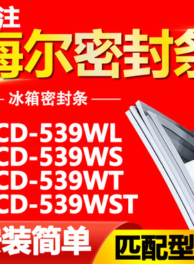 适用于海尔冰箱BCD-539WL 539WS 539WT 539WSY门密封条磁性门封条