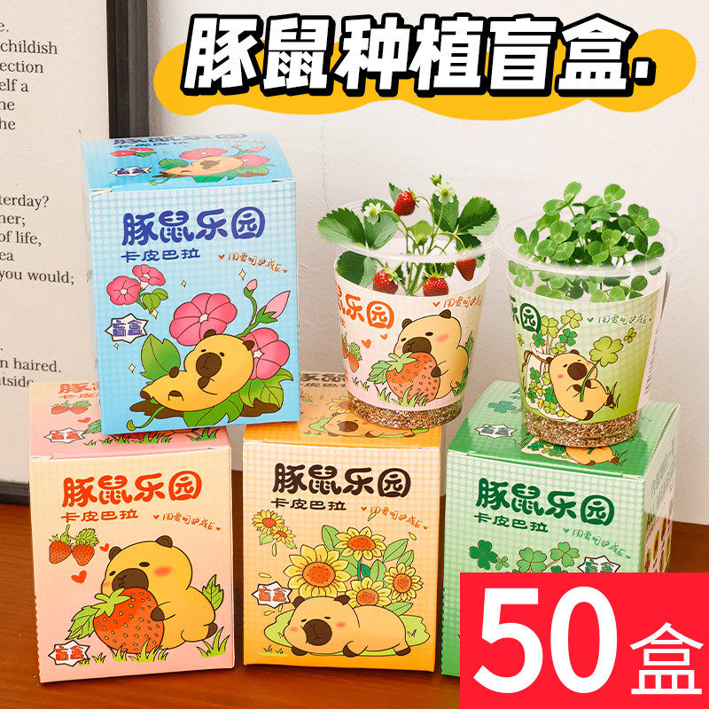 可爱卡皮巴拉种植盲盒绿植小盆栽
