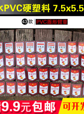 队干小学生pvc组长徽章