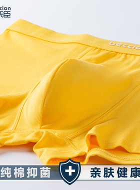 黄色内裤男一条装单条纯棉本命年蛇年全棉金色四角裤莫代尔平角裤