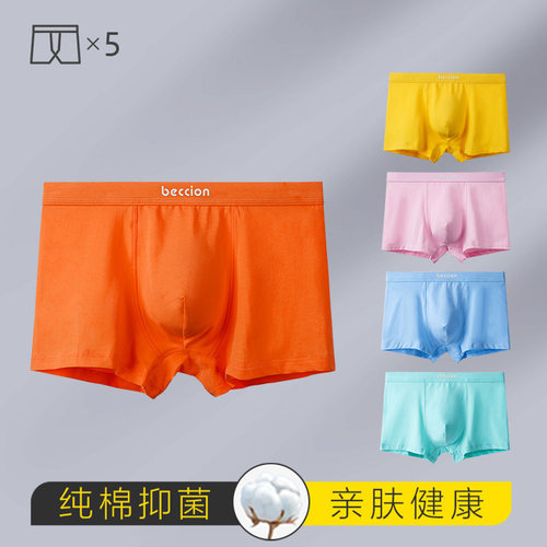 5条男士纯棉内裤橙黄蓝绿