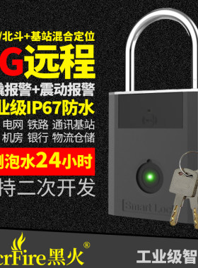 港版陆版4G远程LoRaWAN锁WiFi锁