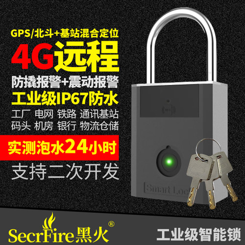 港版陆版4G远程LoRaWAN锁WiFi锁