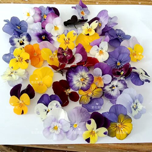 现采可食用花三色堇 蛋糕烘焙装饰西餐摆盘点缀 饭店专用花草
