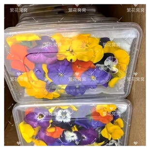 创意三色堇可食用混搭花三角堇印画烘焙西餐装饰摆盘绽放自然色彩