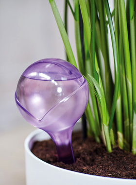 荷兰进口Elho自动渗水器套装滴水器浇花壶家用花园定时补水养花球