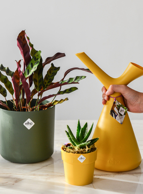 荷兰进口elho浇花水壶家用花卉花草绿植浇水壶ins轻奢网红大容量