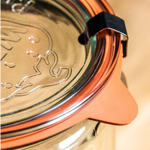 德国橡胶圈不锈钢夹子密封罐现货