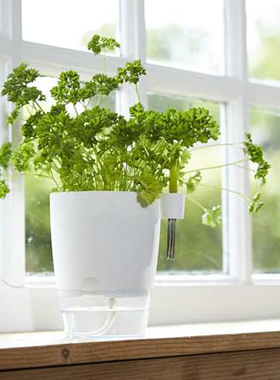 荷兰制造elho家庭园艺盆罗勒盆简约懒人自动吸水配三层香草剪刀