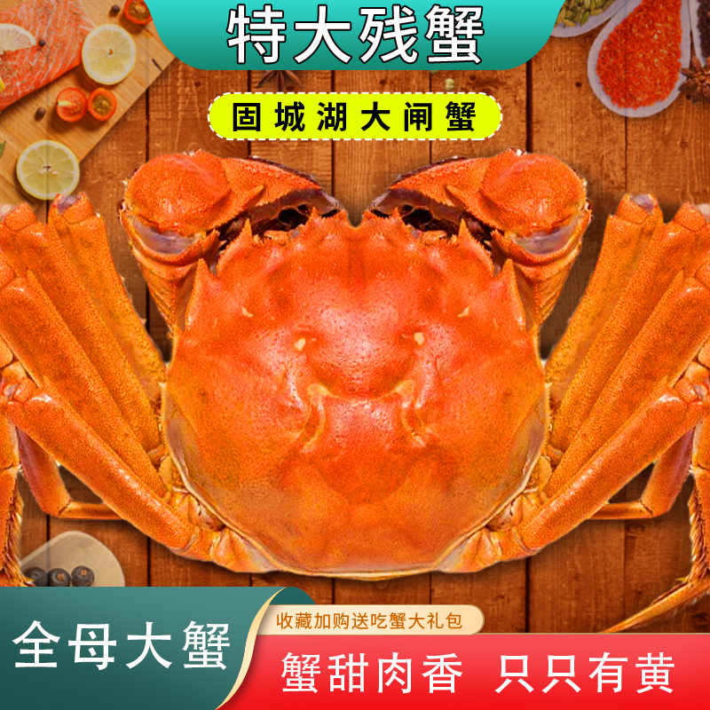净重固城湖大闸蟹残蟹特大螃蟹鲜活公蟹红膏全母蟹顺丰包邮礼盒装