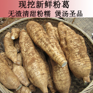 新鲜粉葛 无渣葛根葛薯煲汤佳品 清甜粉糯无渣 5斤清补养生 生葛