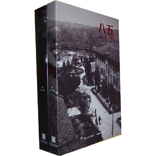 正版图书八五 85——一九八五，杭州，一所学院（两册）许江中国美术学院出版社书籍\/杂志\/报纸//教材/教辅//教材/大学教材