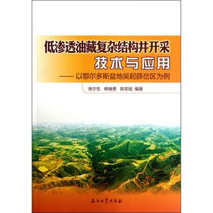 正版图书低渗透油藏复杂结构井开采技术与应用——以鄂尔多斯盆地吴起薛岔区为例张宁生，韩继勇，陈军斌　编著石油工业出版社教材