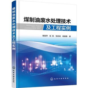 正版图书煤制油废水处理技术及工程实例章丽萍,张凯,张延斌,杨嘉春 著化学工业出版社工业/农业技术/化学工业纸质书籍