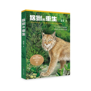 正版图书猞猁的重生圆掌新世纪出版社儿童文学纸质书籍