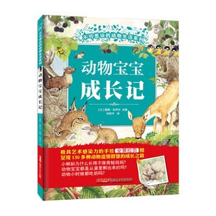 蕾妮·哈伊尔 科普百科纸质书籍 精 童书 张原平新疆青少年儿童读物 译者 比 动物生活系列 不可思议 图书动物宝宝成长记 正版