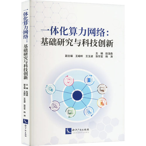 正版图书一体化算力网络：基础研究与科技创新赵淦森知识产权出版社书籍\/杂志\/报纸/计算机/网络/计算机理论和方法（新）