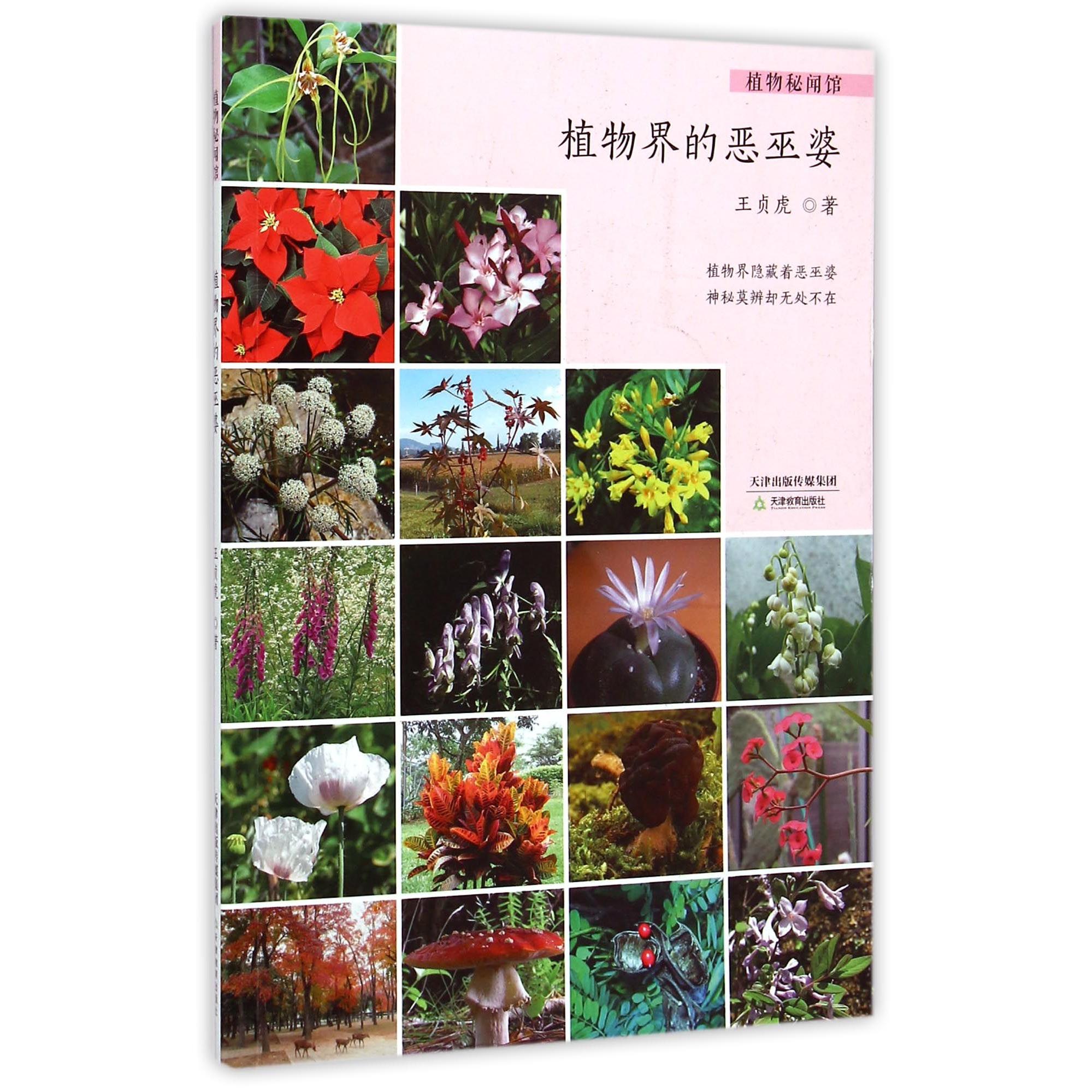 正版图书植物界的恶巫婆/植物秘闻馆王贞虎天津教育儿童读物/童书/科普百科纸质书籍