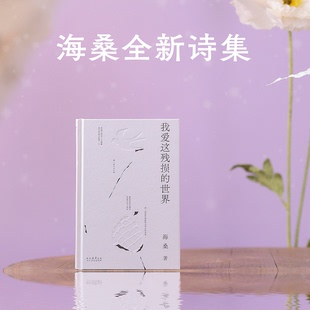 海桑太白文艺文学 正版 2023 世界 文学纸质书籍 图书我爱这残损