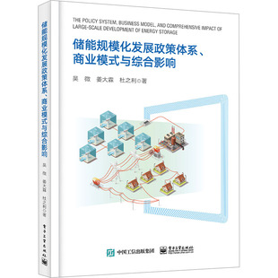 正版图书储能规模化发展政策体系、商业模式与综合影响吴微电子工业出版社能源与动力工程纸质书籍