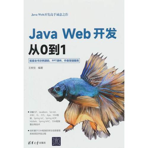 正版图书Java Web开发从0到1王树生 著清华大学出版社书籍\/杂志\/报纸/计算机/网络/程序设计（新）纸质书籍