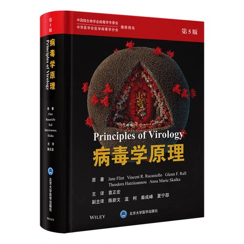 正版图书病毒学原理（第5版）袁正宏 主译北京大学医学出版社有限公司书籍\/杂志\/报纸/医学卫生/医学纸质书籍