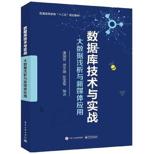 图书数据库技术与实战 徐芝琦 大数据浅析与新媒体应用普通高等教育十三五规划教材 潘瑞芳 张宝军电子工业 编者 正版