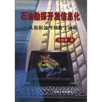 正版图书石油勘探开发信息化--从数据处理到数字油藏王宏琳石油工业出版社书籍\/杂志\/报纸/工业/农业技术/石油 天然气工业