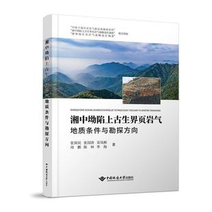 图书湘中坳陷上古生界页岩气地质条件与勘探方向 新华文轩网络书店 张保民 著 图书张保民张国涛苗凤彬周鹏陈林李海 等 正版