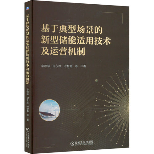 正版图书基于典型场景的新型储能适用技术及运营机制李琼慧 何永胜 时智勇 等著机械工业出版社